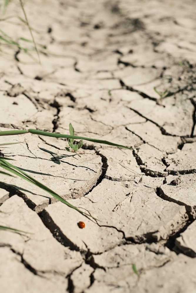 assurance catastrophes naturelles
